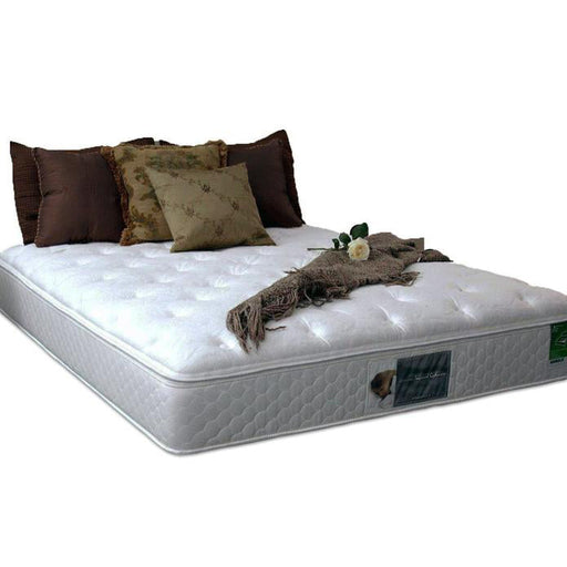 8300 Plush Top Softside Waterbed